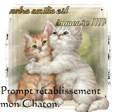 Le Forum Des Tortues Ninjettes Felee Premieres Semaines De Regime Montignac Page 2310