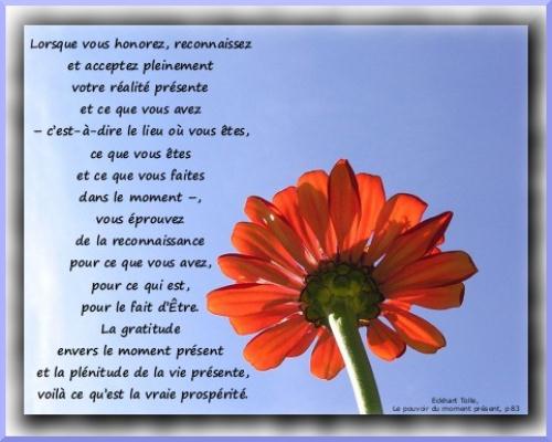 De Jolies Paroles Ou Poemes Ou Ecrits Moral Et Motivation Forum Mentalslim Maigrir Avec La Methode Mentalslim De Jean Michel Gurret